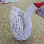 DSCN6963
